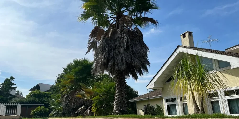 WhatsApp Image 2025-11-05 at 22.12.38