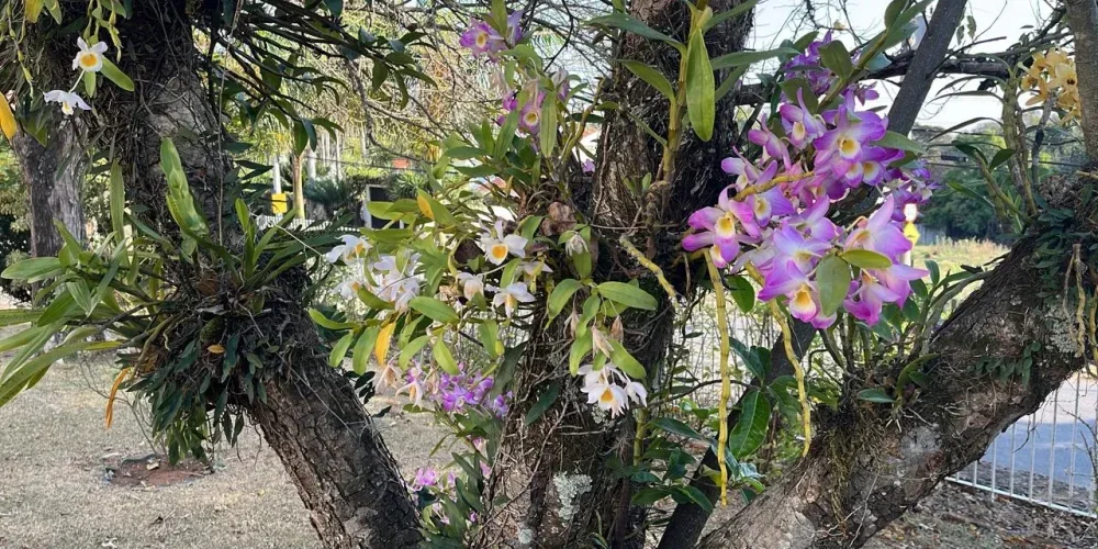 WhatsApp Image 2025-11-05 at 22.12.39 (1)