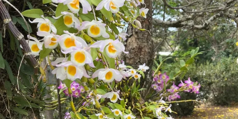 WhatsApp Image 2025-11-05 at 22.12.39 (2)